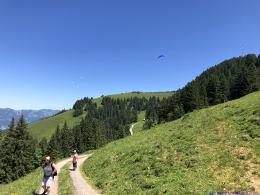 KAC Gaissau Kräuterwanderung 2019 06 29 13 42 23  4727